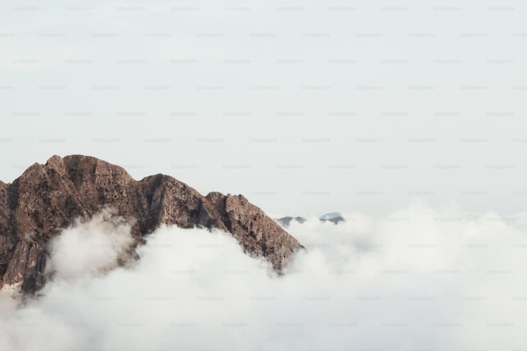 小众生果走俏，你会尝鲜吗？